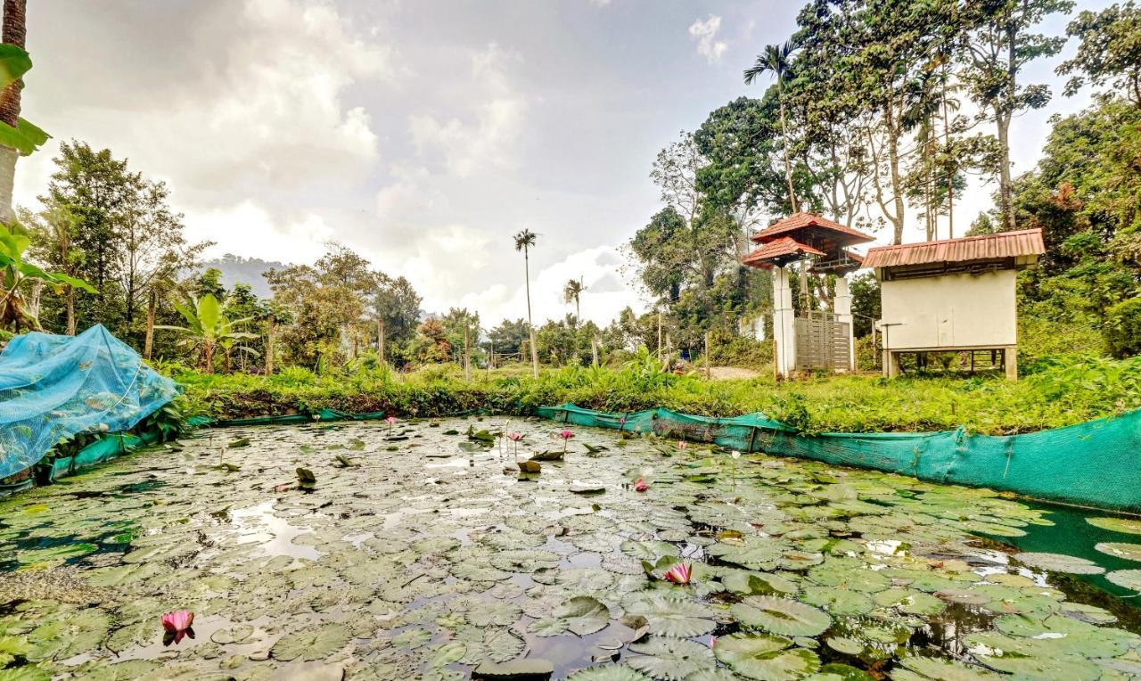 Treebo Tryst Jathika Resorts Kozhikode Luaran gambar